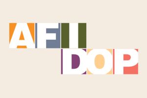 New AFIDOP site online!